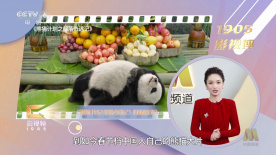 国产精品自产拍在线观看